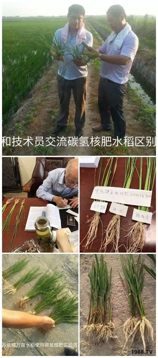 �ϰټ�ý�w��(b��o)�������쳬�^�W��ʳƷ��(bi��o)��(zh��n)������̼?x��)�˷ʾ����@ô�𱬣�