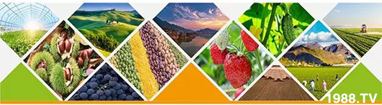 �����������L���߉��������ͷ���Ѹ������������ƌW(xu��)���L���g�޴�