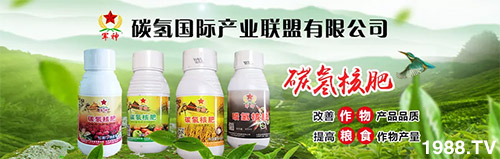 �����������L���߉��£����ͷ���Ѹ������������ƌW(xu��)���L���g�޴�