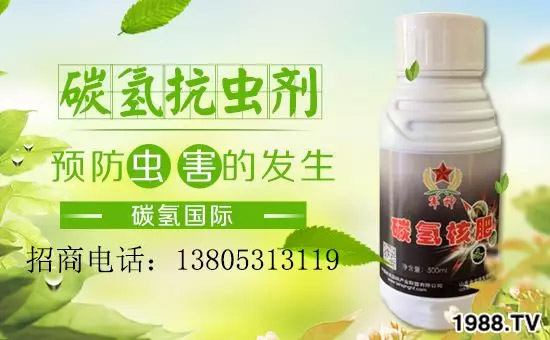 �����������L���߉��������ͷ���Ѹ����������ƌW(xu��)���L���g�޴���