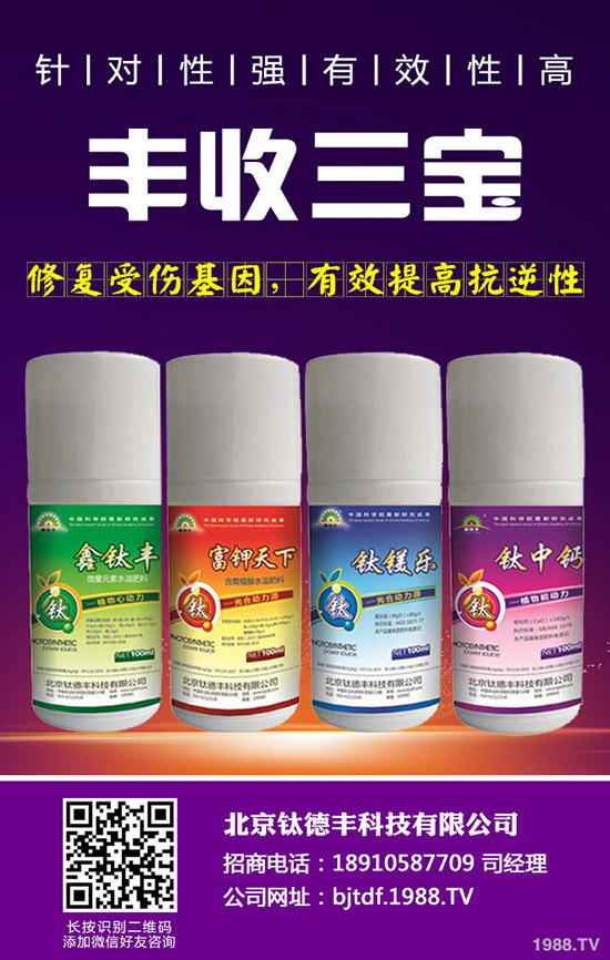 大蒜如何施肥才能高產(chǎn),大蒜高產(chǎn)施肥技術!