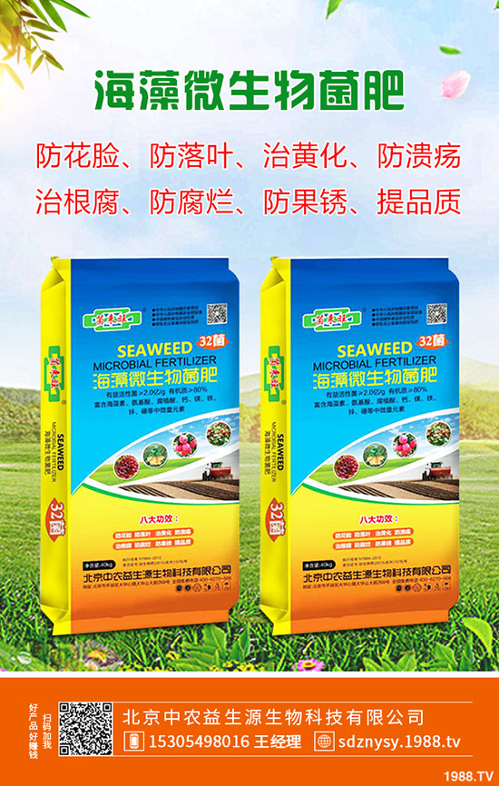 茄子什么時候種植,茄子一般幾月成熟?