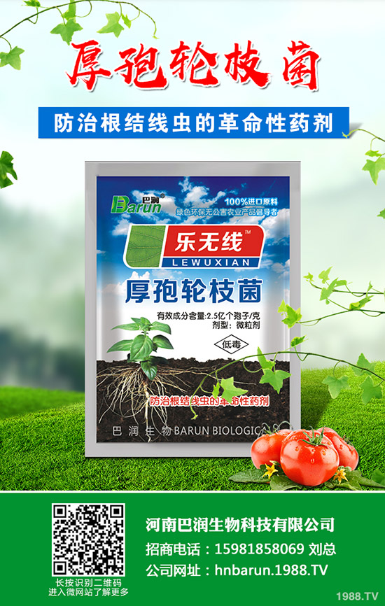 ��֦���~��ô�޼�����֦���~�޼�������