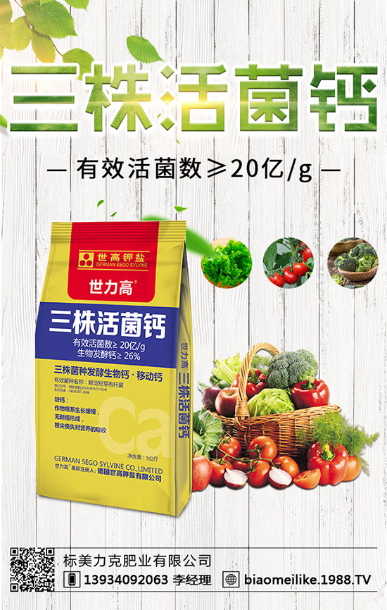 秋黃瓜什么時候栽培好,秋黃瓜栽培的注意事項(xiàng)!