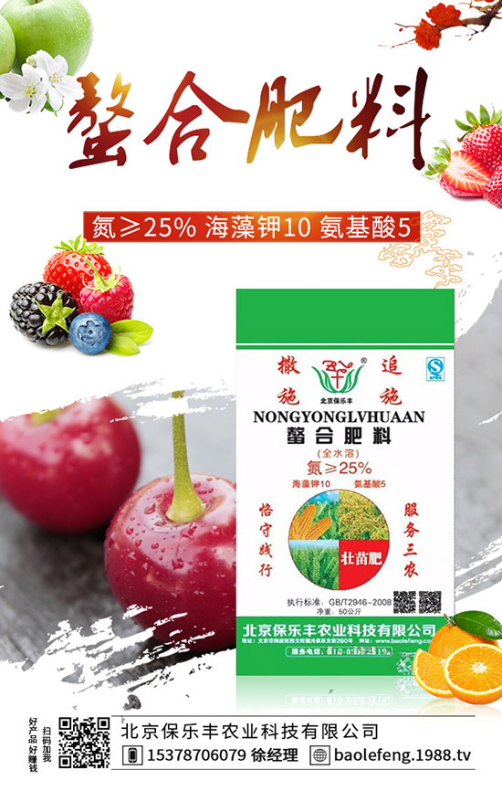 西紅柿如何打葉,西紅柿打葉技巧及注意事項(xiàng)