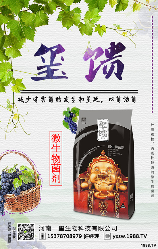     �������ӷNֲ�{ݮ���Nֲ�{ݮ��(y��ng)ԓע��ʲô��