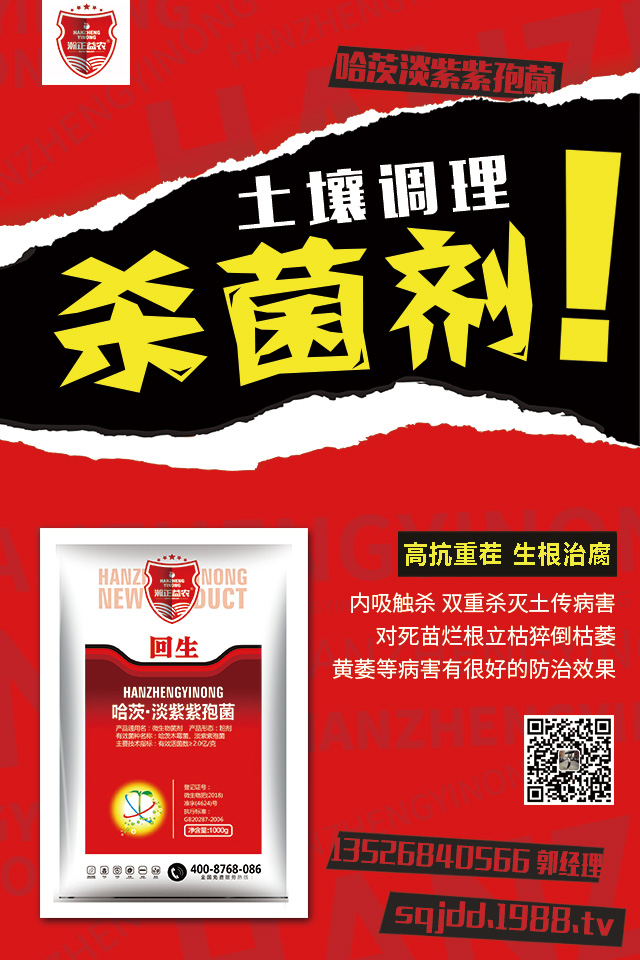 �������߲�Σ�������������߲����μ���