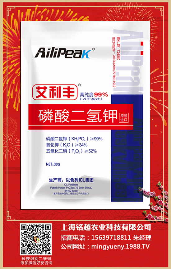 紫薯如何種植,紫薯種植方法和注意事項!