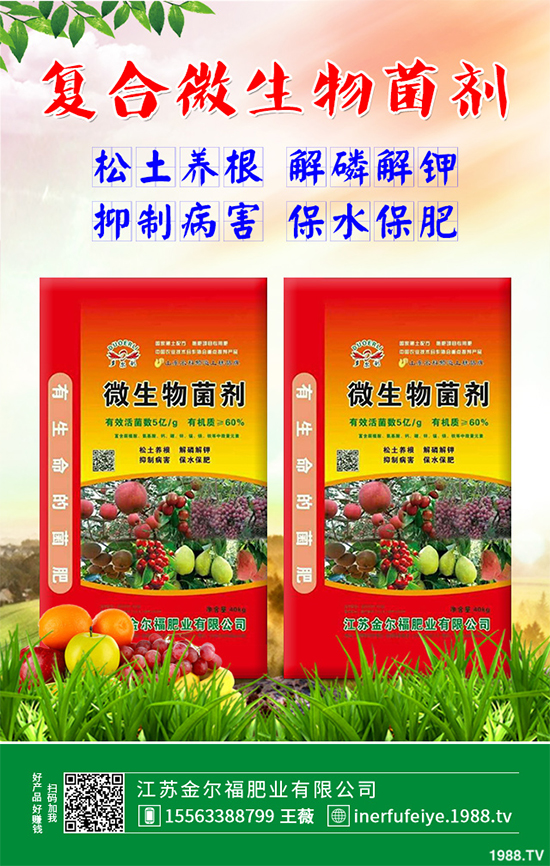 豌豆什么時候種植?該怎么種?豌豆種植時間及種植技術(shù)要點