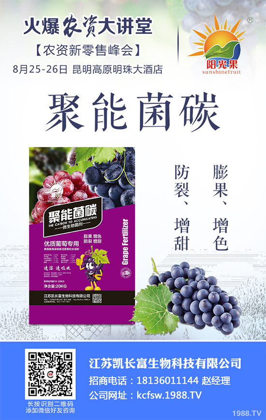 豌豆什么時候種植?該怎么種?豌豆種植時間及種植技術(shù)要點