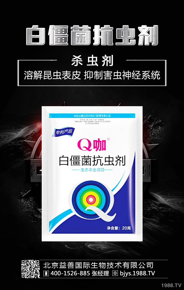 月季病蟲(chóng)害怎么防治?月季病蟲(chóng)害防治集錦