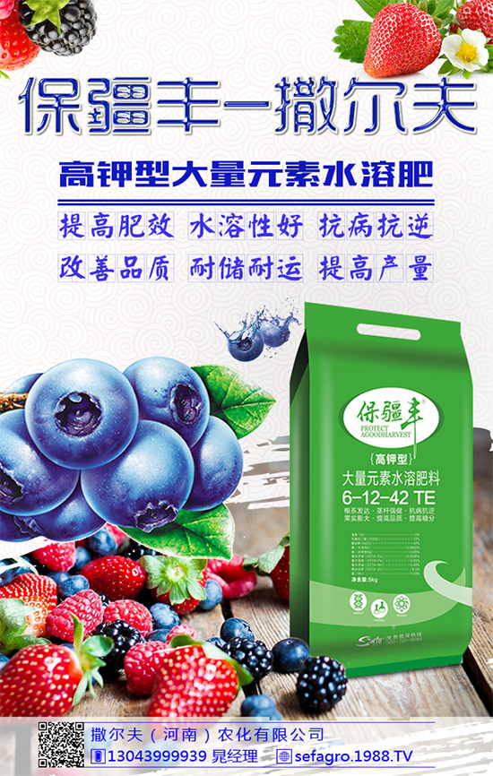 豌豆該怎么施肥?豌豆高產(chǎn)施肥技術(shù)