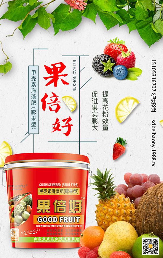 ʥŮ��ʲô�r(sh��)�g�Nֲ��ʥŮ���Nֲ���g(sh��)Ҫ�c(di��n)����Щ��