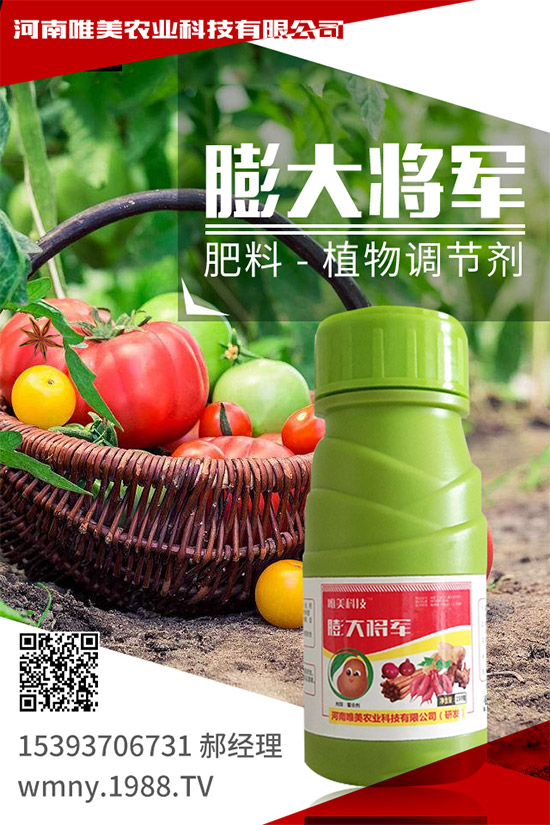 �＾���ҵĹ����(n��i)�����＾�����߲˷Nֲע����헣�