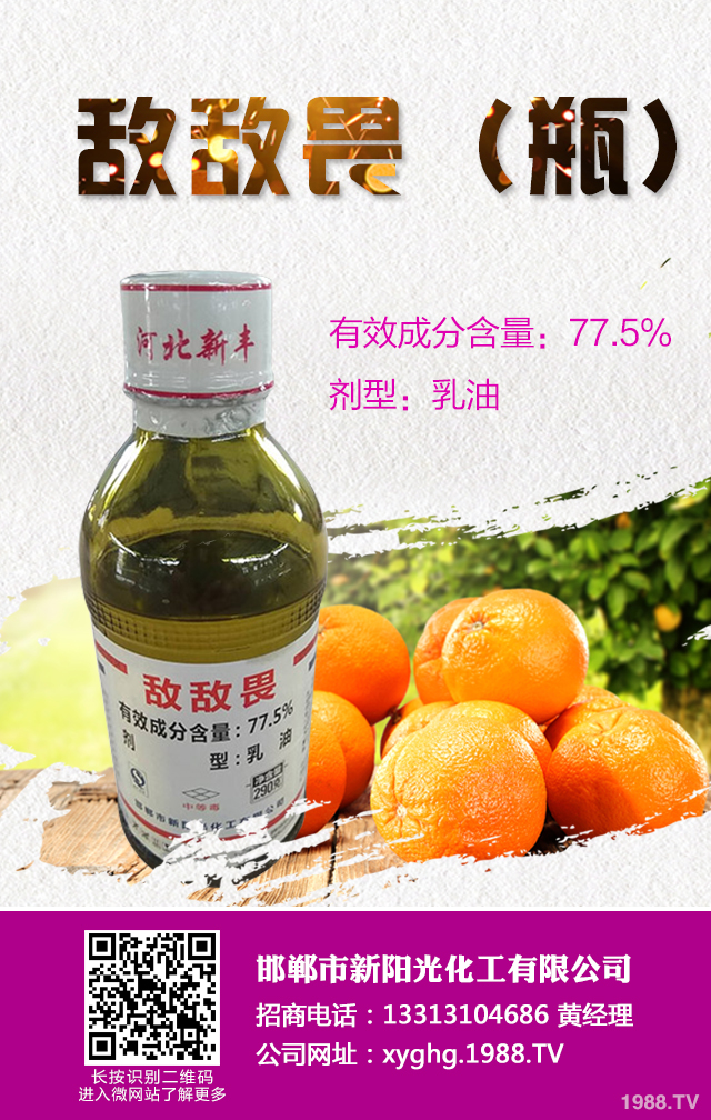 ���ټt֩����ô���������ټt֩����Ч���μ���