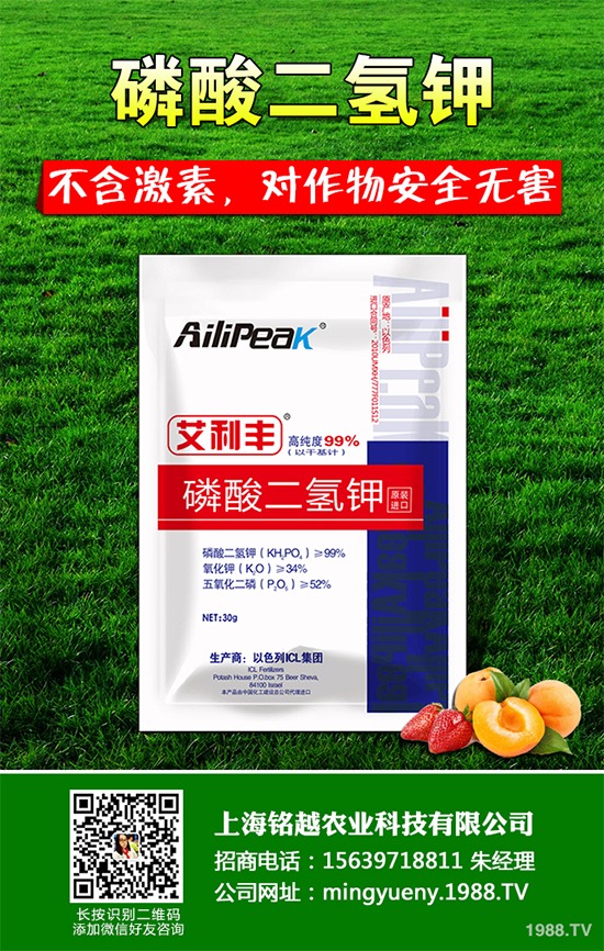 �㶹����������ЩΣ�����F(xi��n)��ԓ���ӷ������㶹���������η���