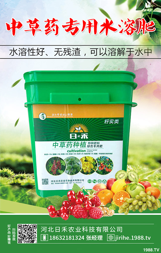 洋蔥種植想高產(chǎn),種植方法很重要!洋蔥種植技術要點