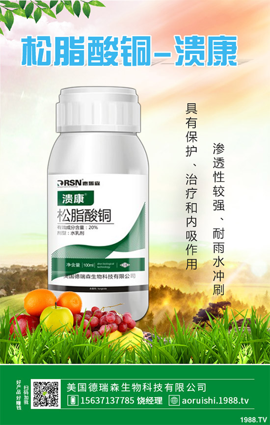     �O���������r��