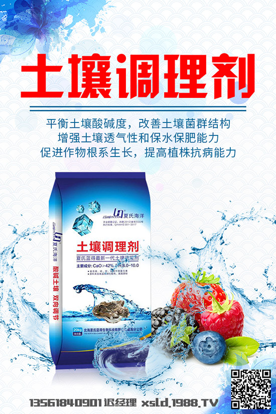 大白菜爛根是什么原因,大白菜爛根的發(fā)生原因及防治方法!