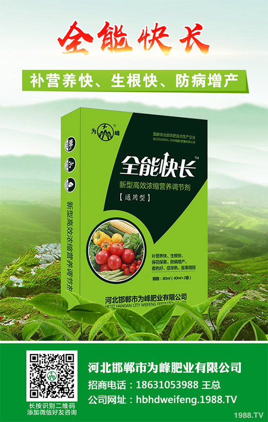 ����������Щ��̎������Ĺ�Ч���ü�ʳ�ý���