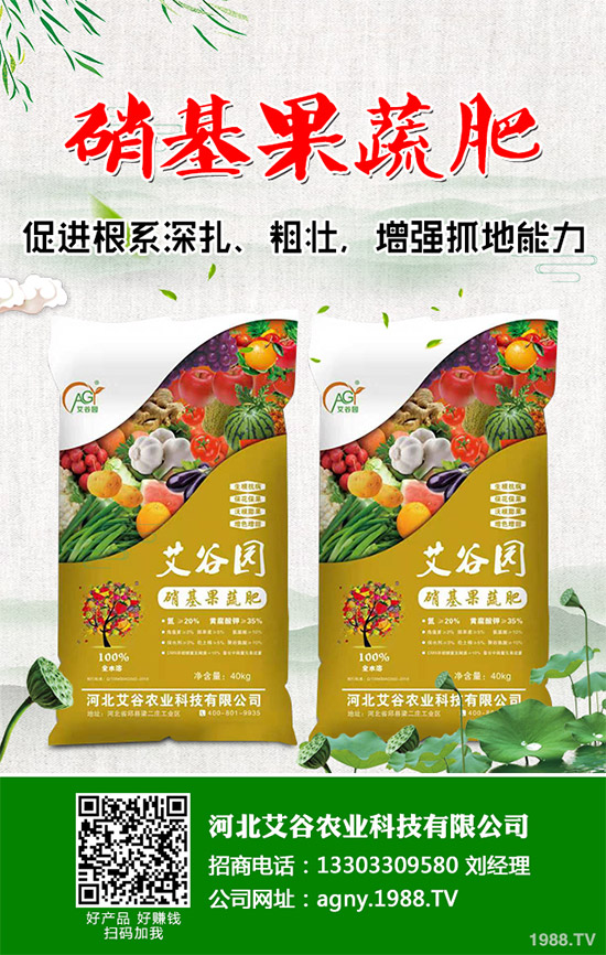 ����ԓ��ô��������ĠI�B(y��ng)�Է���ע�����(xi��ng)