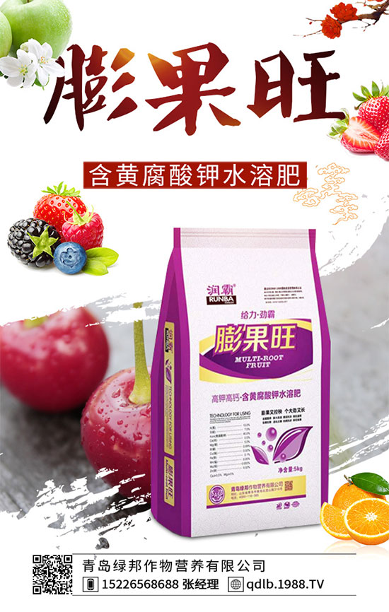 �¼����ڰ߲��İY�����¼������Ϻڰ߲���ô�Σ�