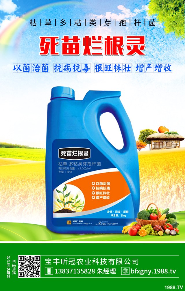 芹菜黑心腐爛怎么防治?芹菜黑心腐爛要對癥防治