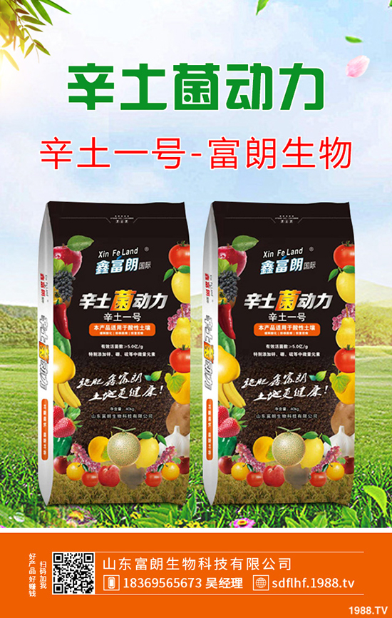 桃樹(shù)秋季帶葉修剪好處及什么時(shí)間修剪合適?桃樹(shù)秋季修剪技術(shù)!