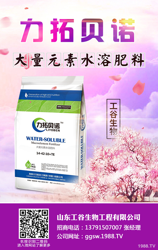 秋冬季小油菜如何種植?秋冬季小油菜種植技術(shù)及田間管理方法!