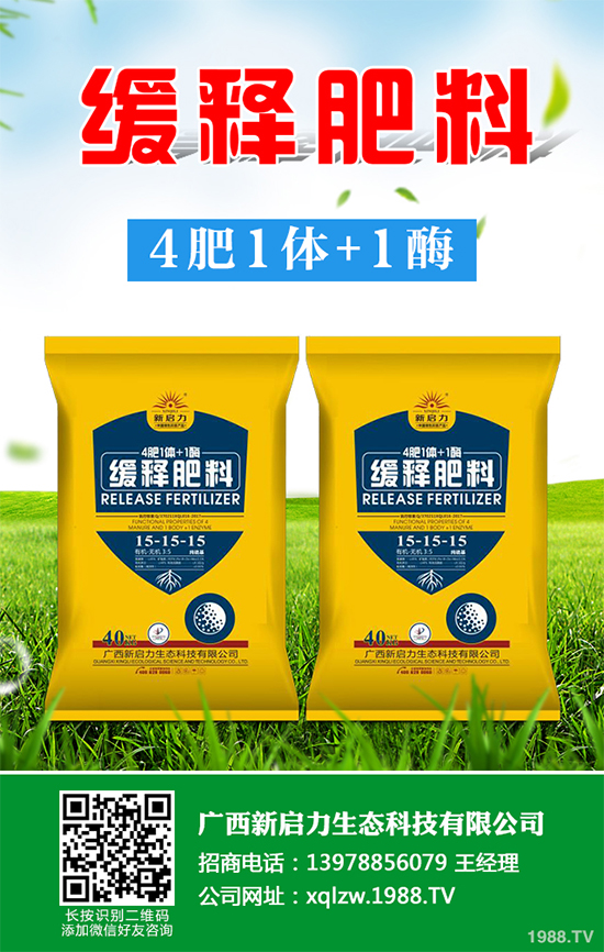 秋甘藍(lán)該怎么種植?秋甘藍(lán)高產(chǎn)種植技術(shù)