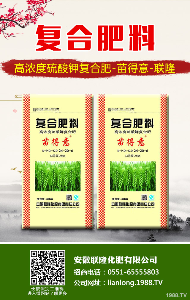 �K�F�~�S�݆��}��ô��Q���K�F�~�S�ݽ�Q����