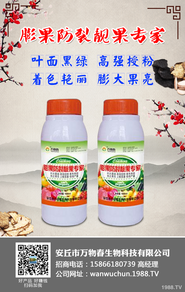 ����A(y��)����ݮ��������ݮ���η��μ���