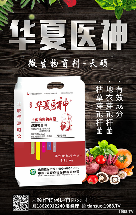 萵苣灰霉病有哪些危害癥狀?是如何引起的?快來看看吧!