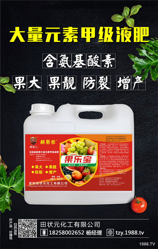 萵苣灰霉病有哪些危害癥狀?是如何引起的?快來看看吧!