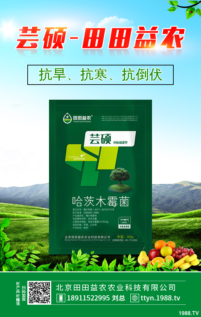 冬季柑橘如何防凍?冬季柑橘防凍技巧