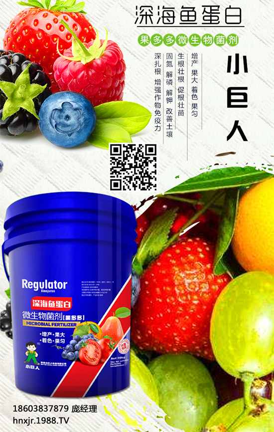 紅薯怎么種植?紅薯種植的高產(chǎn)管理要點