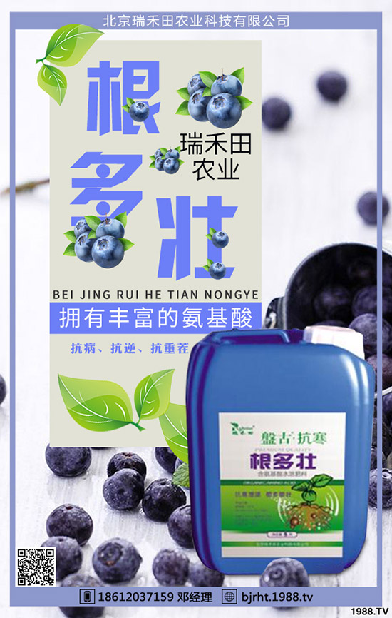 ���t��ʲô�r(sh��)�g�Nֲ�����t���Nֲ����