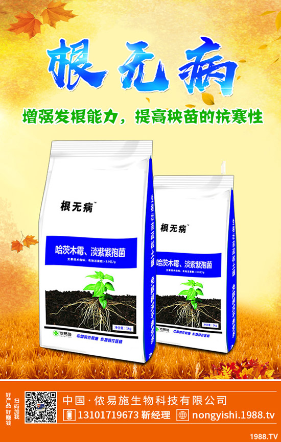     ��������[�����[�Nֲٍ�X�᣿��Ҋ�{(di��o)ζ���߲˷Nֲ����������