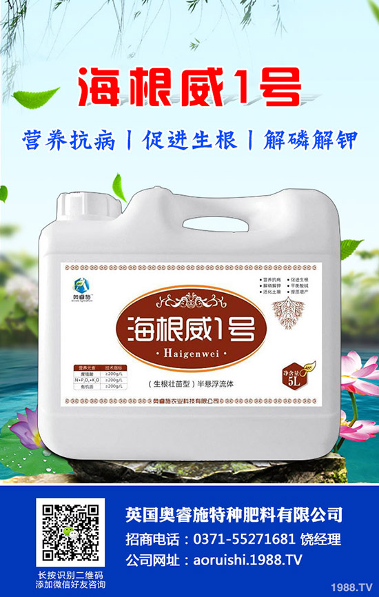 吃芋頭有哪些好處,芋頭的營養(yǎng)價值及食用禁忌!