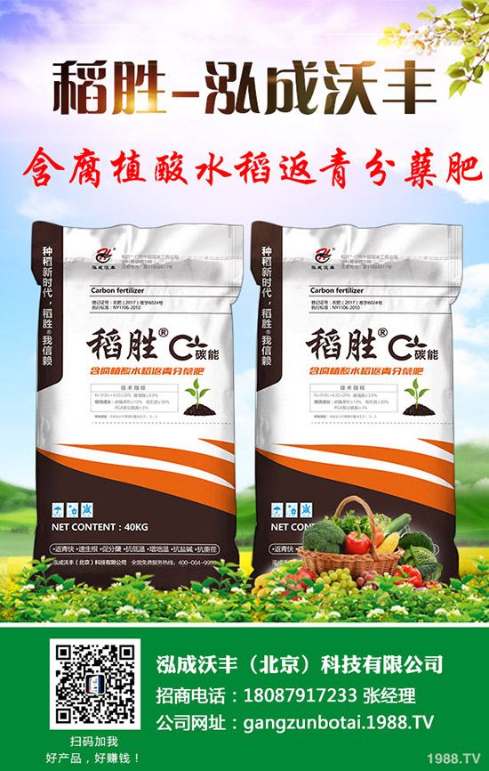     2019��9��7������������@�r(ji��)�������߄�(sh��)�����������A(y��)�y(c��)