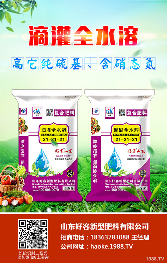 ������ӹ�������ϸ�Ч�������࣡