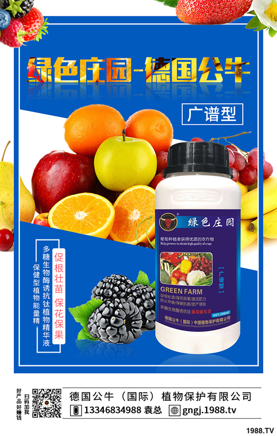 如何種植紫薯更高產(chǎn),紫薯的種植方法與前景!