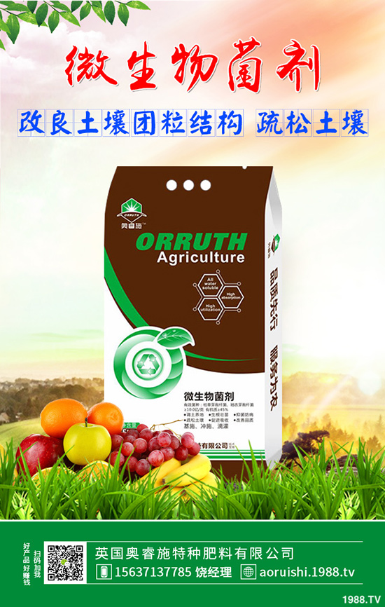 雪菜種植講究技巧,你會(huì)嗎?雪菜優(yōu)質(zhì)豐產(chǎn)種植技術(shù)