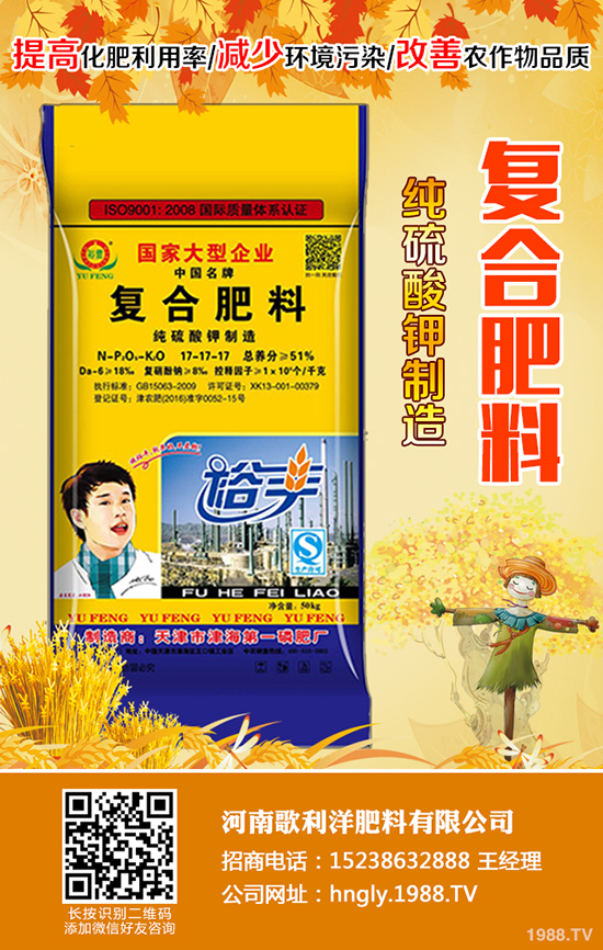 大蒜價格多少錢一斤?2020種植大蒜賺錢嗎?大蒜種植前景及利潤!