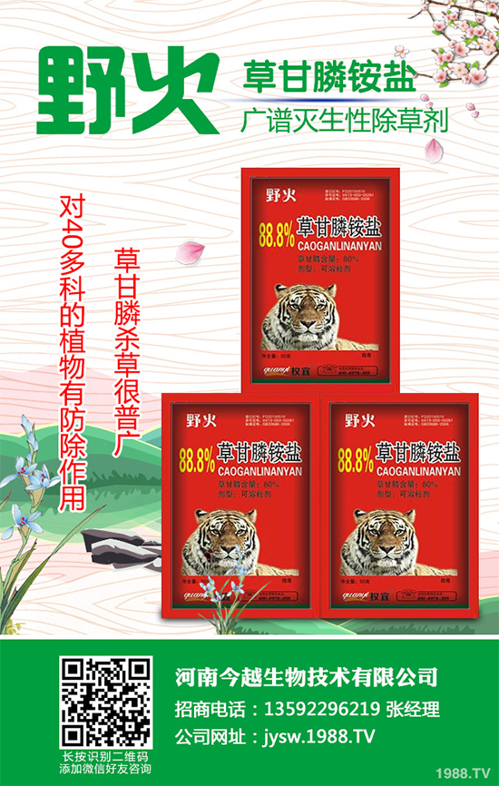 ���׳��݄��r��