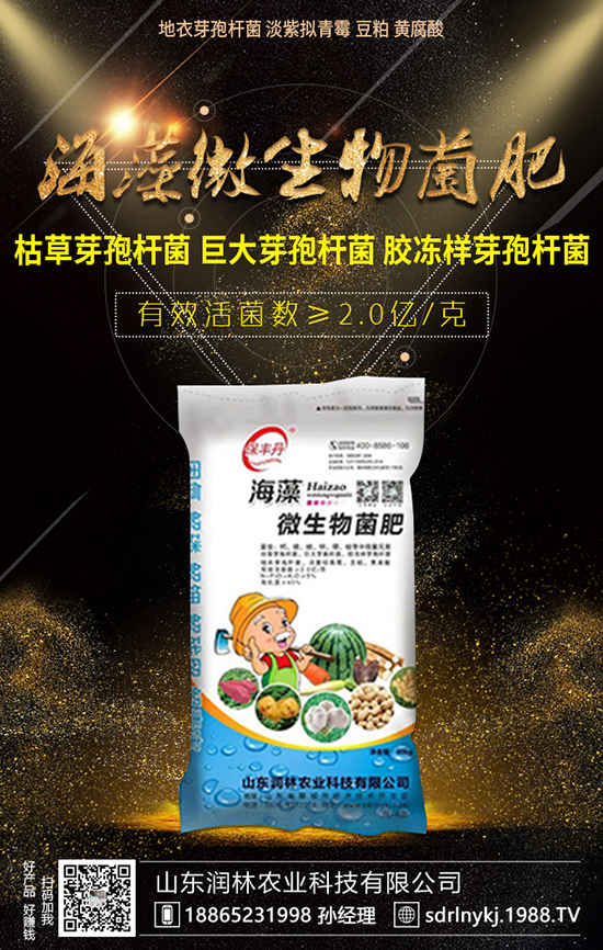 西瓜施肥的三大原則,不了解的點進來!