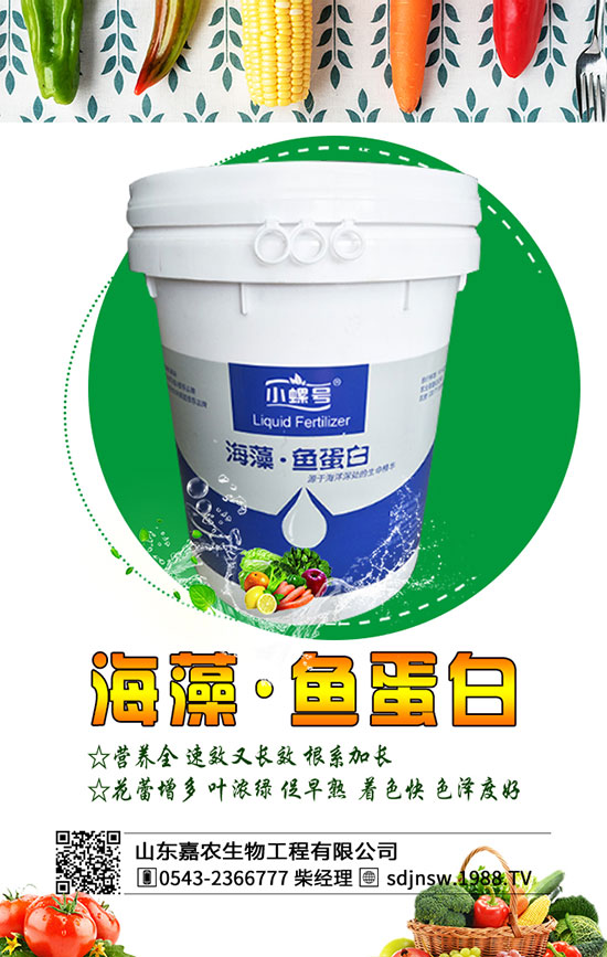 黃花菜什么季節(jié)種植好？2020年黃花菜種植前景及利潤分析！