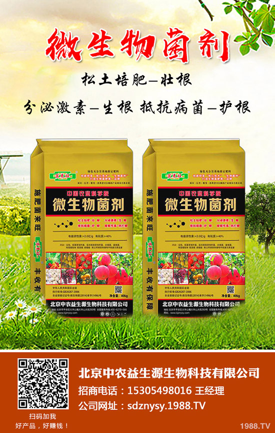 尿素價格還在漲!2020-1-16今日各地最新尿素報價是多少?