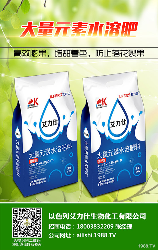 �۲˸���������ΰl(f��)���ģ�ԓ���ӷ����������������