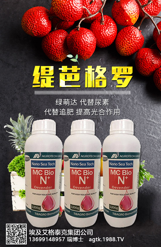 ���A�ĠI�B(y��ng)�rֵ����Щ����Ч�c��������Щ��������Щ��Ⱥʳ����